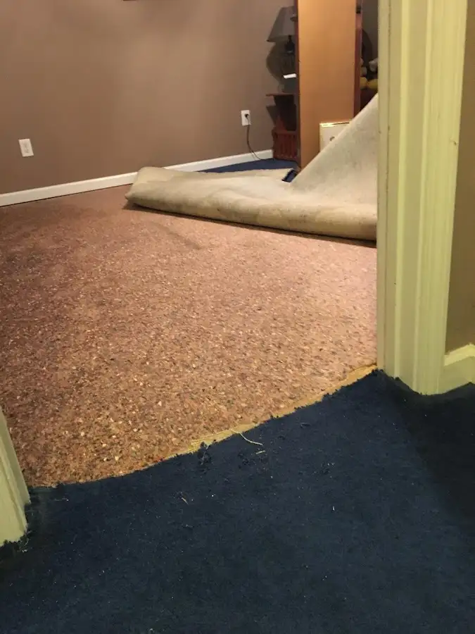 Carpet pad removal revealing water damage during Water Mitigation Services in Bartonville