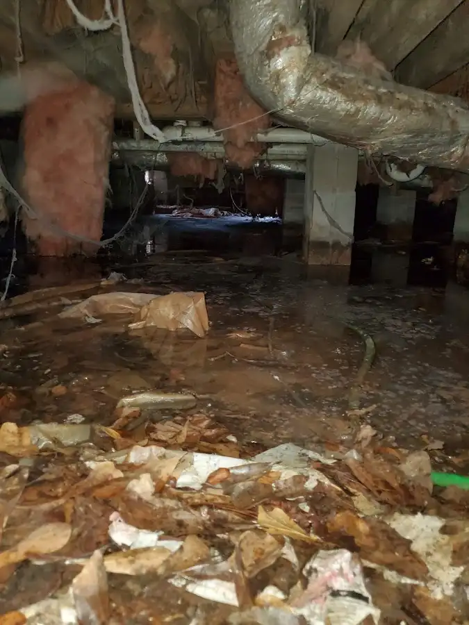 Crawl space flood assessment for Leak Detection & Repair in Bartonville
